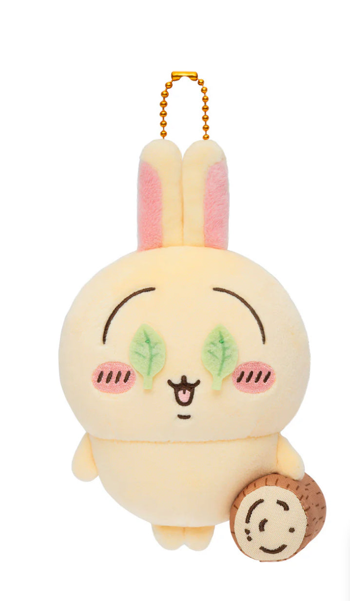 Chiikawa |Is This Watermelon SplittingMascot (Usagi)