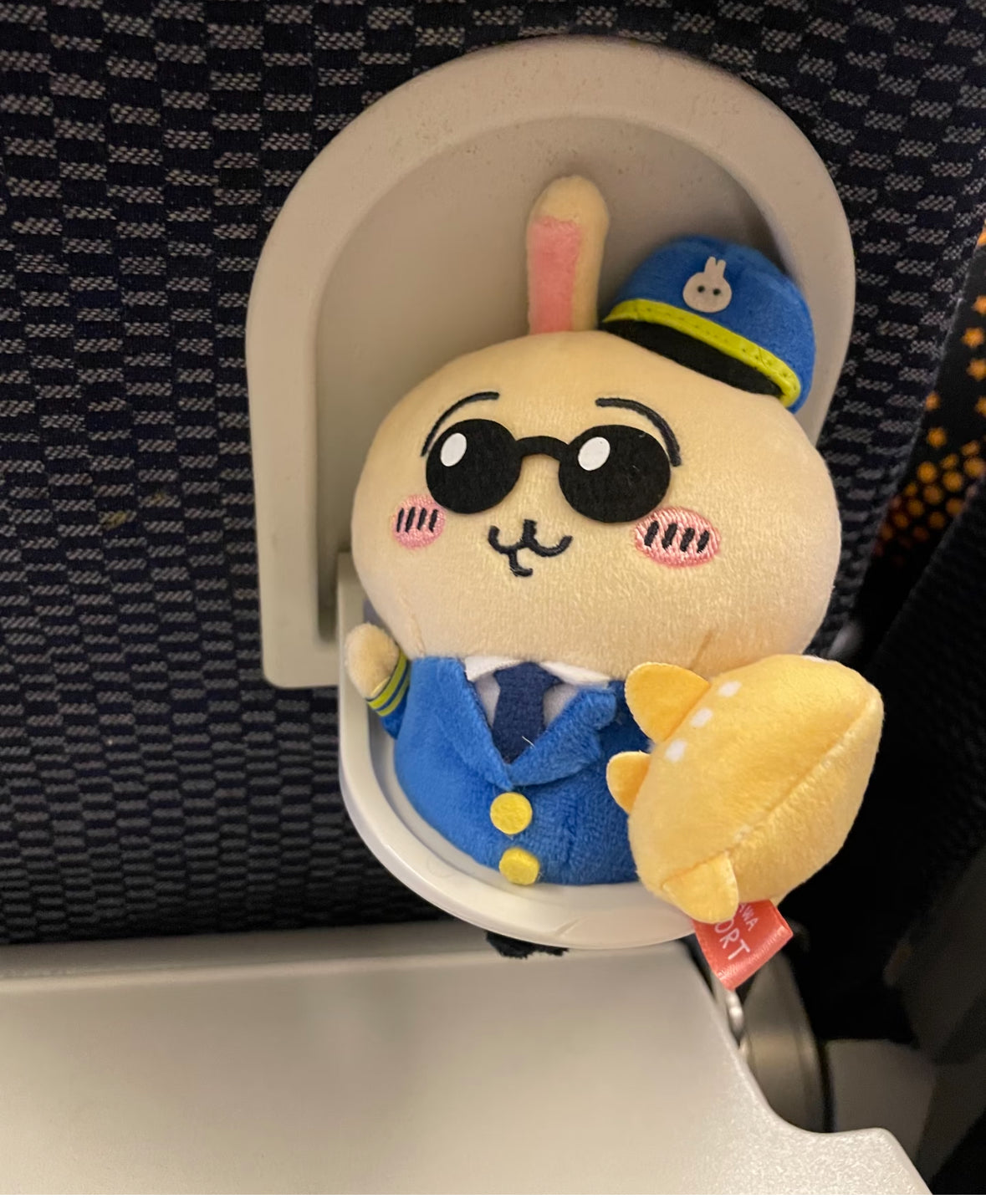 Chiikawa Usagi Airport Regional Exclusive Series Mascot keychain