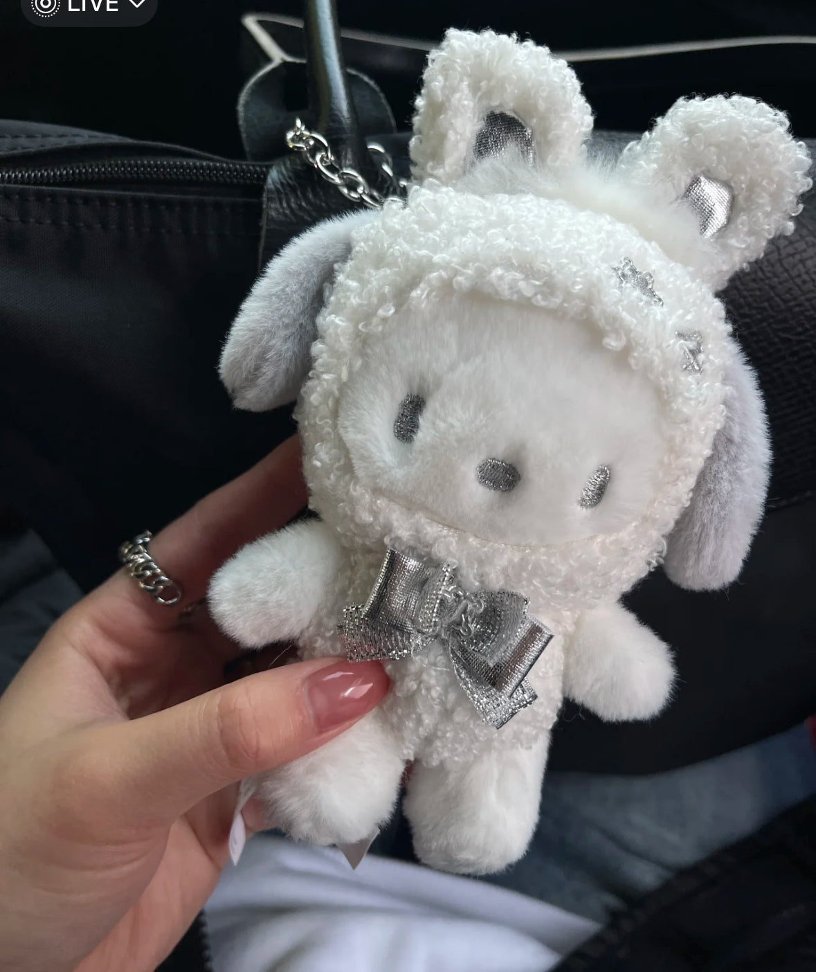SANRIO|Fluffy Snow Rabbit Pochacco keychain