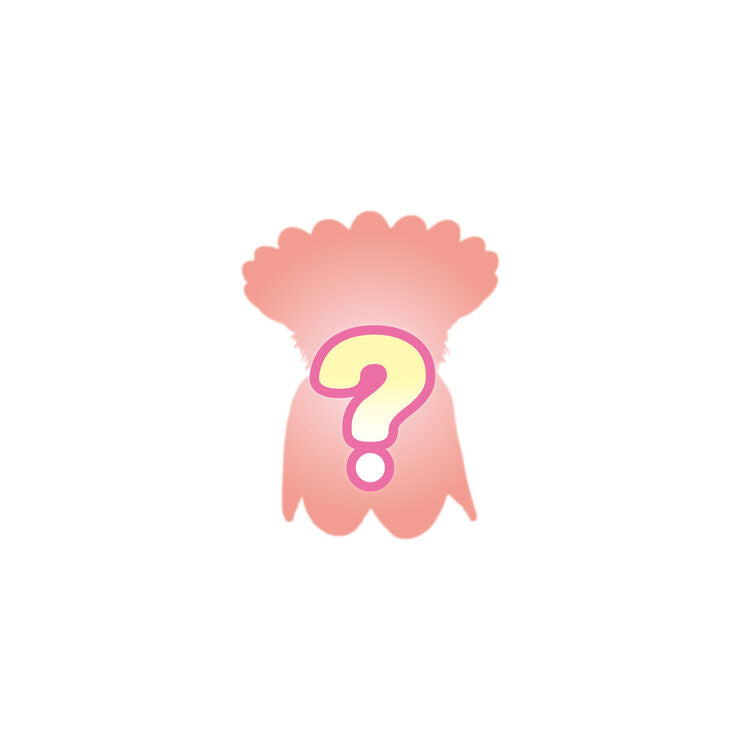 【pre-order10.21】 Silvania Family Blind bags Baby Collection -The Friends of the Baby Fairy Forest Series