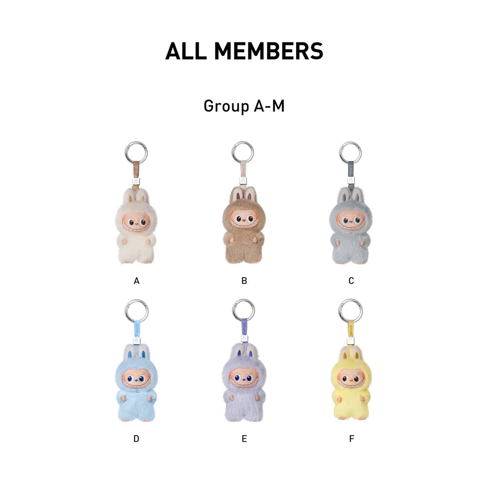 Pop Mart The Monsters Pin For Love Series Vinyl Plush Pendant Blind Box (A-M)