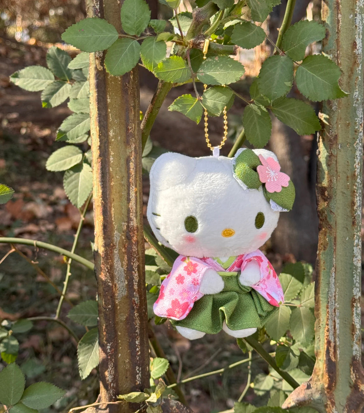 Hello Kitty Matcha Kyoto Limited