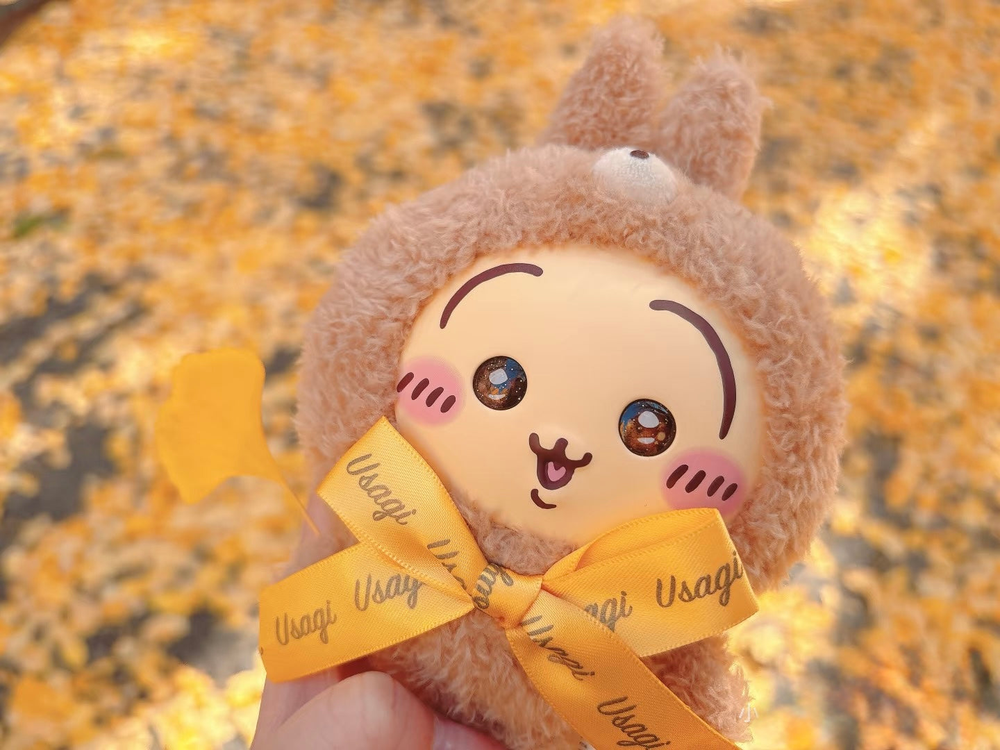 Chiikawa｜Kiramekko Teddy Bear (Usagi) Keychain Blind box