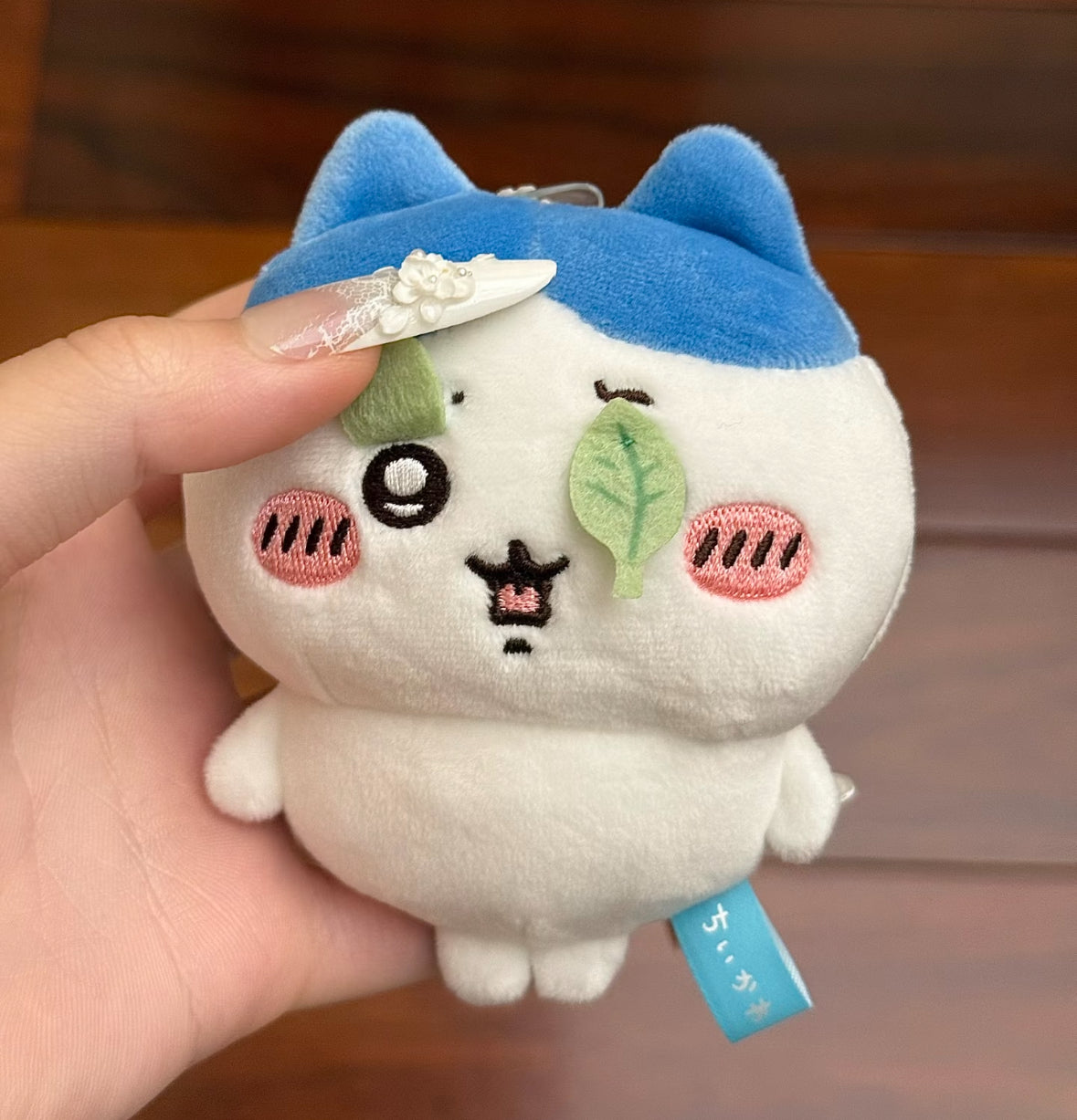 Chiikawa｜ Is This Watermelon SplittingMascot (Hachiware)