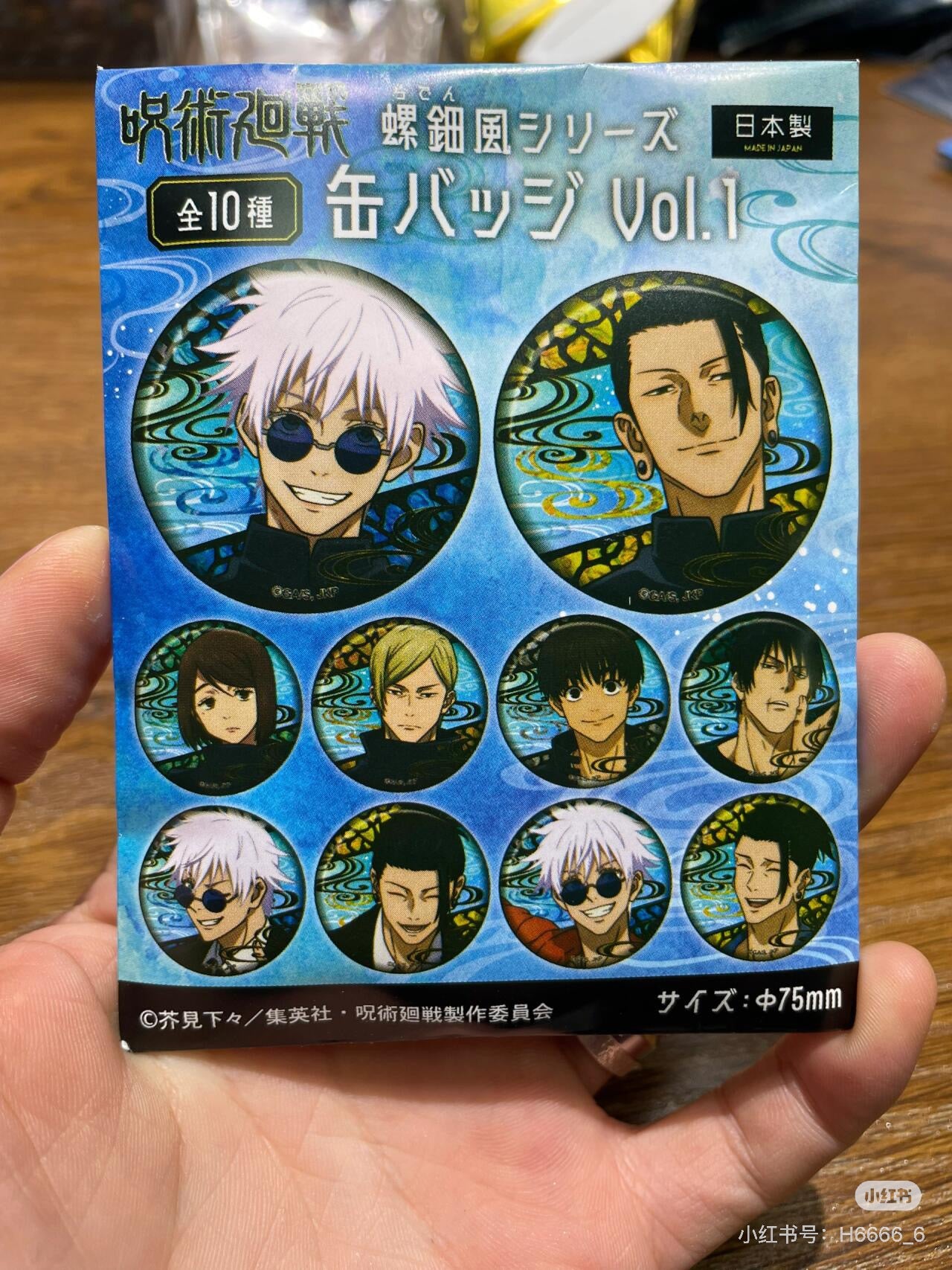 Jujutsu Kaisen Snail Wind Series Can Badge Vol.1 咒术回战螺钿徽章