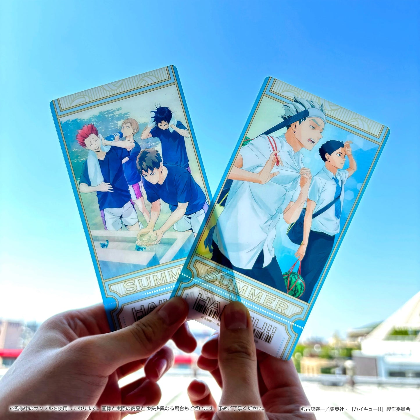 Haikyu!! Visual Clear Ticket